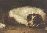 Johann Christoph Rincklake A sporting dog lying down Germany oil painting artist